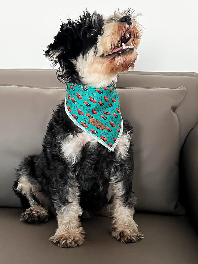 Lionet Paws Thanksgiving Dog Bandana Washable Cotton Handkerchief Scarf - Image 3