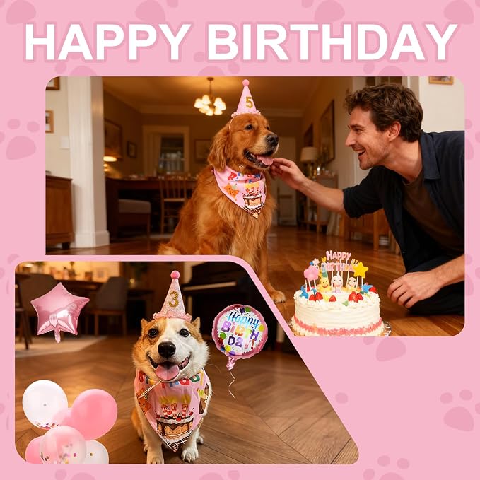 Dog & Cat Birthday Party Decorations Set Include Bandana, Adjustable Hat - Image 2