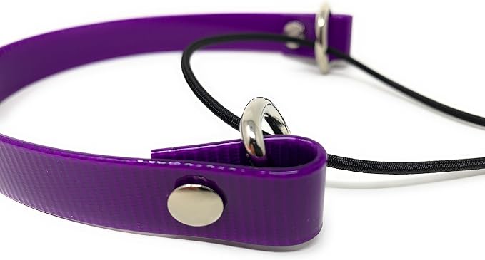 Sparky Pet Co - ECollar Replacement Strap - Bungee Dog Collar - Waterproof - - Image 2
