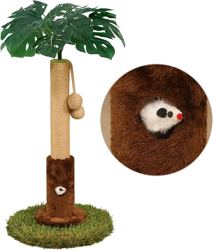 Cat Scratching Post for Indoor Cats and Kitten - Image 7