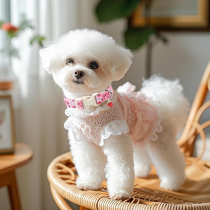 Strawberry Bow Dog Collar for Large Dogs - Image 2