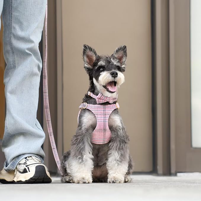 Beirui Cute Extra Small Dog Harness Collar and Leash Set - Image 4