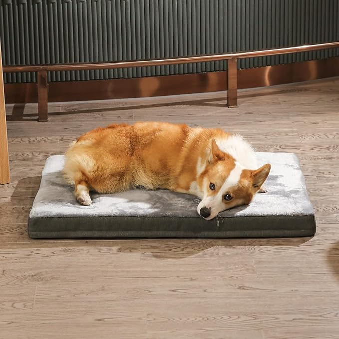 Amazon Basics Washable Dog Bed - Image 10
