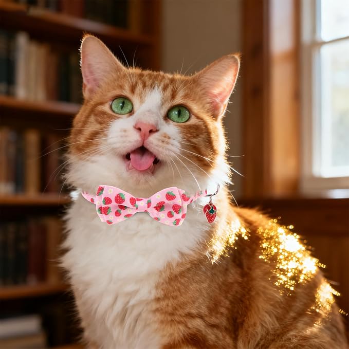 Breakaway Cat Collar with Removable Bow Tie and Bell, Cute Multi-Style Patterns - Image 6