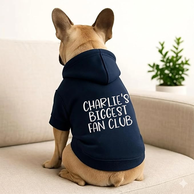 Personalized Name Dog Hoodie, Embroidered Hoodies Pets Name, Custom Pet Memorial - Image 4
