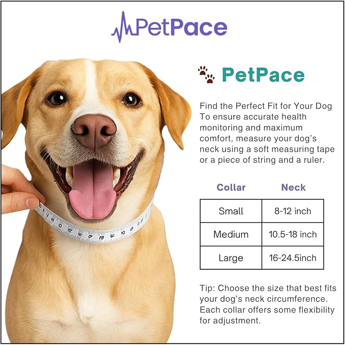 V3.0 Dog Health Monitor – AI Health Collar - Image 8
