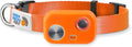 MS-5 Automatic Pet Door Collar by High Tech Pet, Genuine Dog Collar by HighTechPet