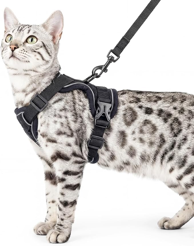 Cat Harness and Leash Set Escape Proof Tactical Medium Kitten Harness Emotional by pangdi