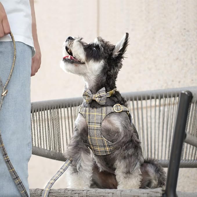 Beirui Cute Extra Small Dog Harness Collar and Leash Set - Image 4