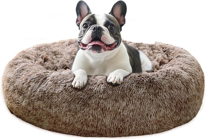 JOLLYVOGUE Calming Dog Bed Medium Size Dog, Anti-Anxiety Donut Medium Pet Bed by JOLLYVOGUE