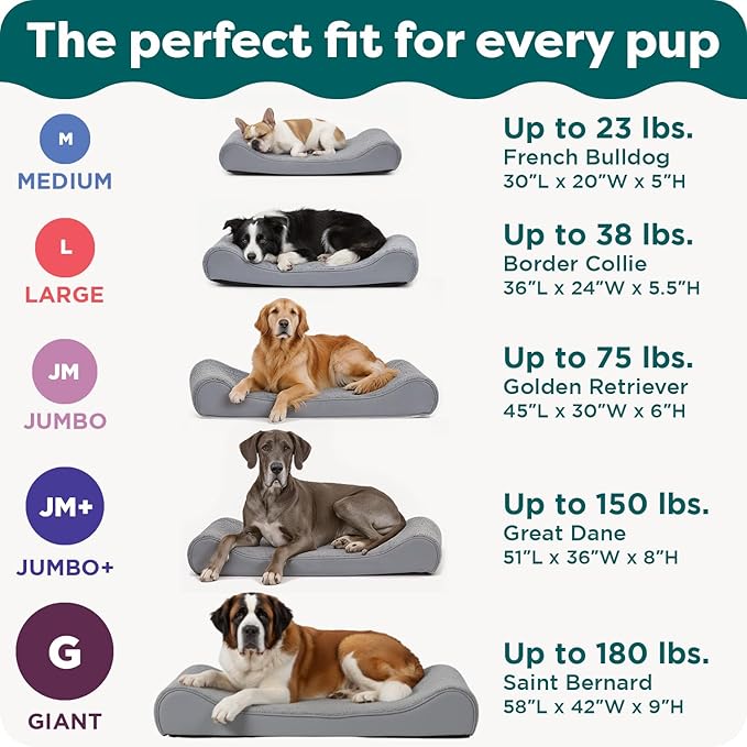 FurHaven Orthopedic Dog Bed for Large/Medium Dogs, Luxe Lounger Contour Mattress - Image 6