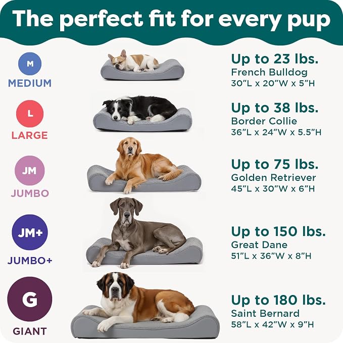 FurHaven Orthopedic Dog Bed for Medium Dogs, Luxe Lounger Contour Mattress - Image 6