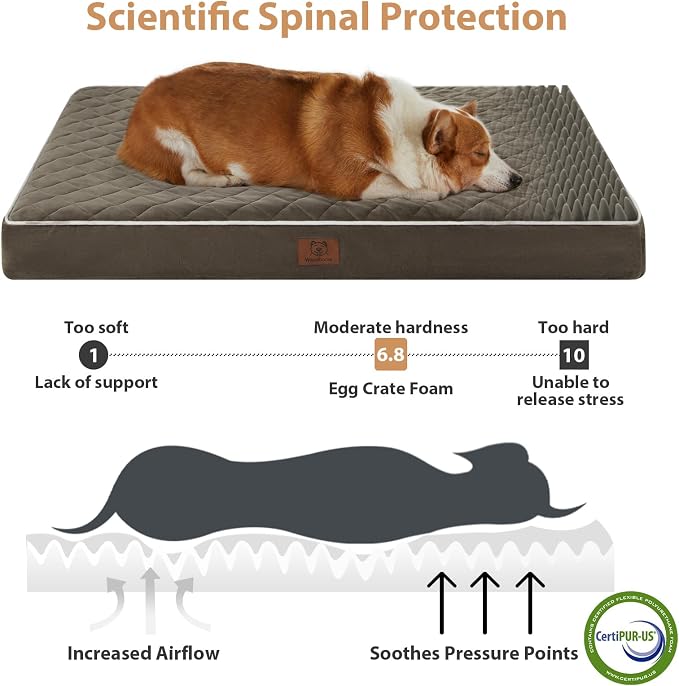 WNPETHOME Orthopedic Dog Bed Medium Size Dog, Waterproof Medium Dogs Bed - Image 3