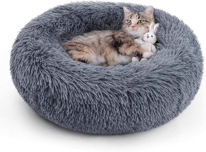 rabbitgoo Cat Beds for Indoor Cats, 20 inches Cat Bed Machine Washable by rabbitgoo