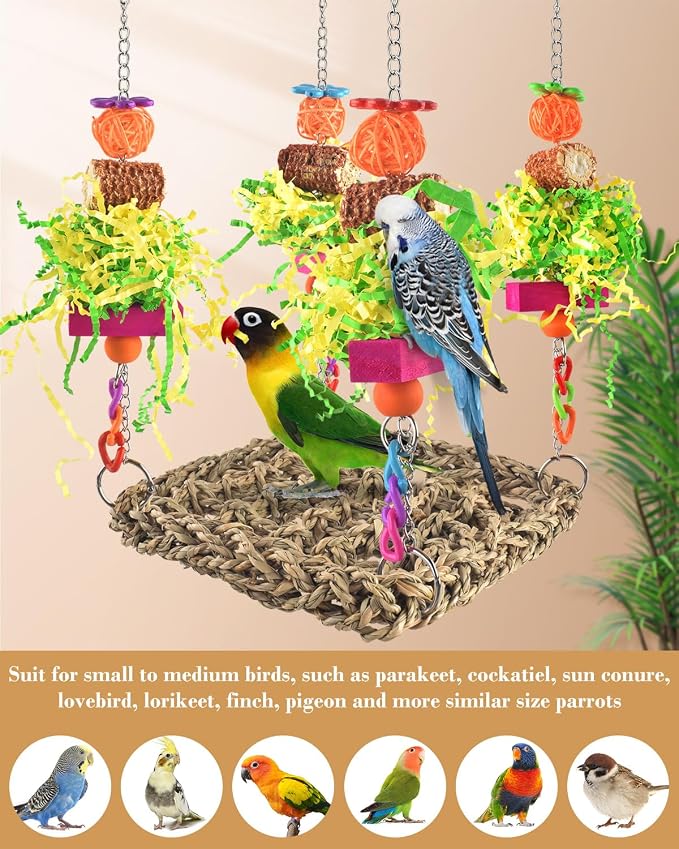 ERKOON Conure Toys, Bird Cockatiel Toys Foraging Swing Mat Parrot Climbing - Image 4