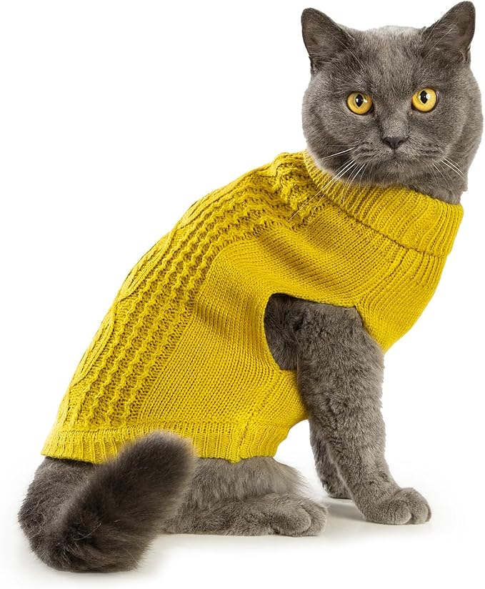 Stretchy Cat Sweater - Image 4