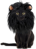 Onmygogo Lion Mane Wig for Cats and Dogs, Funny Pet Cat Costumes for Halloween by Onmygogo