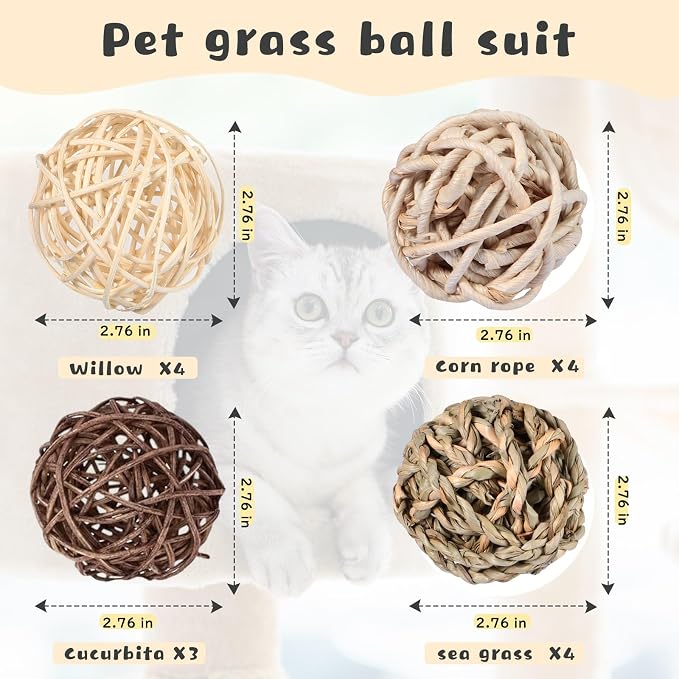 Skylety 15 Pieces Small Animal Chew Balls Rabbits Bunny Treat Chew Toys Guinea - Image 2