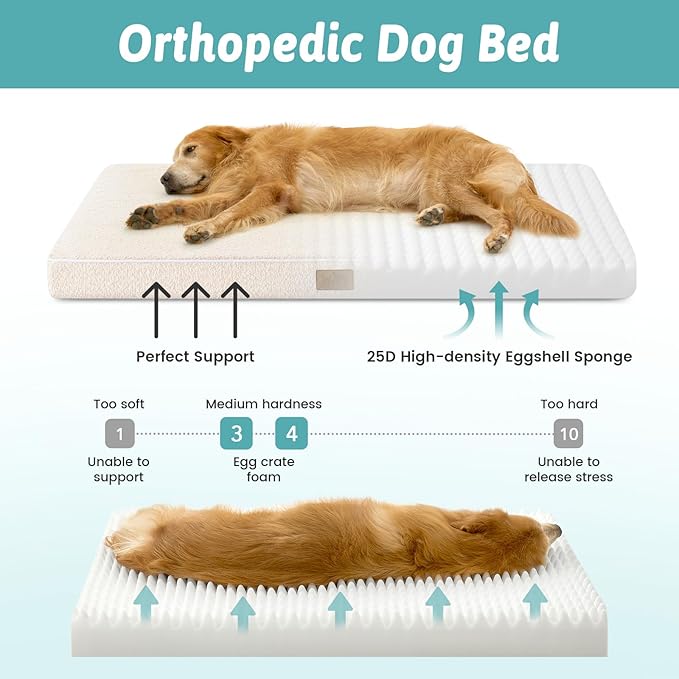 Dog Bed for Extra Large Dogs, Rectangular XL Orthopedic Dog Beds, Foam - Image 2
