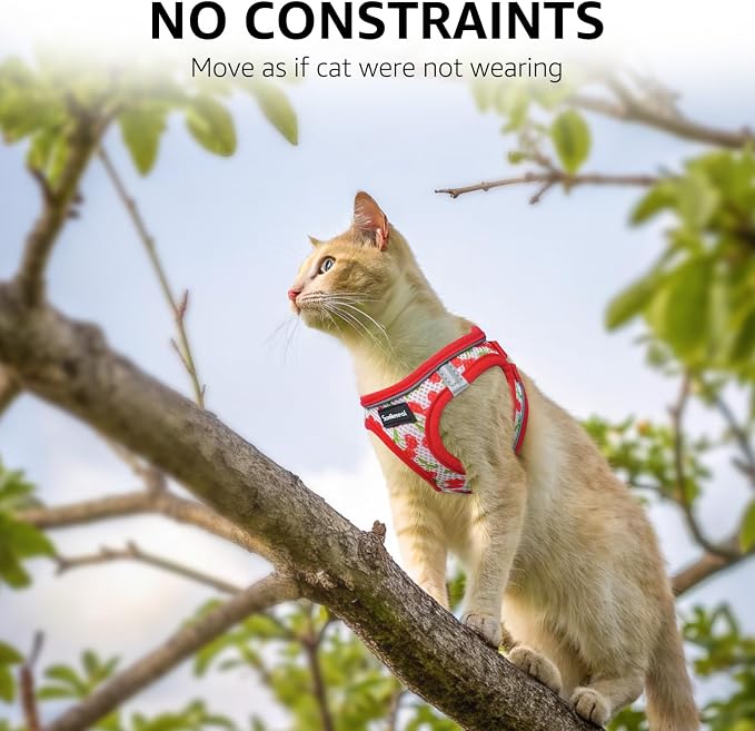 SCENEREAL Cat Harness & Leash Set Escape Proof - Image 5