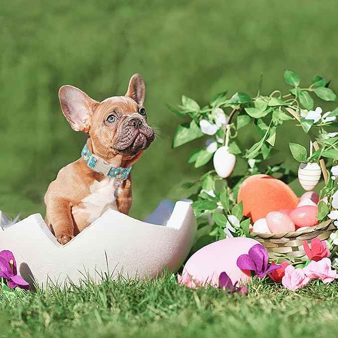 DOGWONG Easter Dog Collar, Cute Flower Bunny Eggs Dog Collar Pink Pet Collar