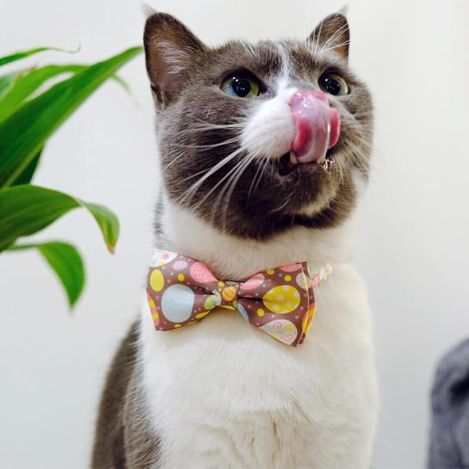 2 Pack Easter Day Cat Collar - Image 4