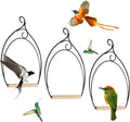 winemana Set of 3 Hummingbird Swings, Rust Resistant Metal Frame, Wooden Dowel by winemana
