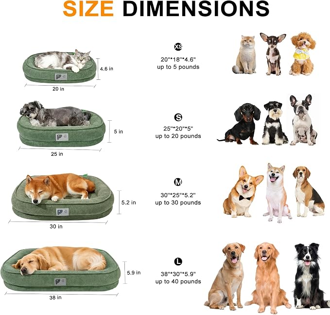 Orthopedic Dog Bed for Small Dog, Washable - Image 2