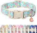 Adjustable Summer Dog Collar, Cute Mint Dessert Dog Collars by Babolepet