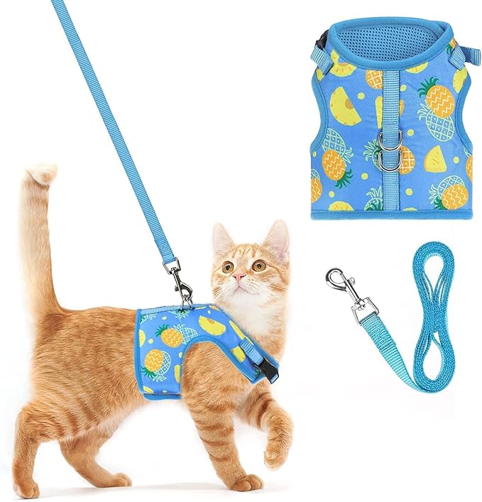 PUPTECK Soft Mesh Cat Vest Harness and Leash Set Puppy Padded Pet Harnesses by PUPTECK