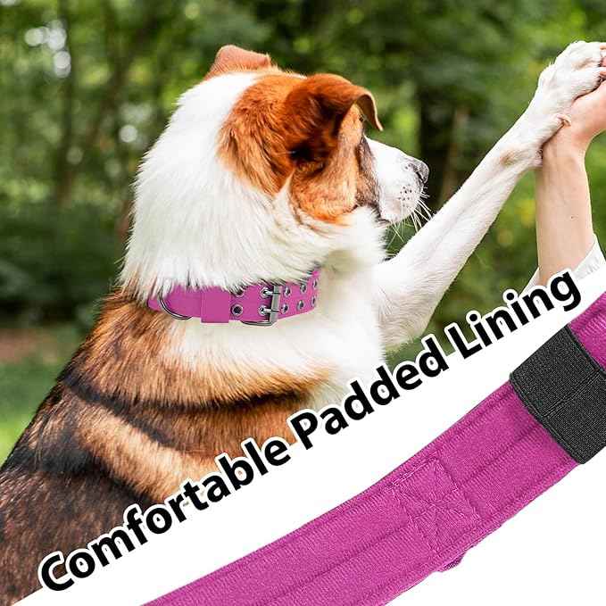 Tactical Dog Collar with Handle, Military Adjustable Heavy Duty Metal Buckle