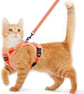 Cat Harness and Leash for Walking Escape Proof Soft Adjustable Cat Leash by Unknown