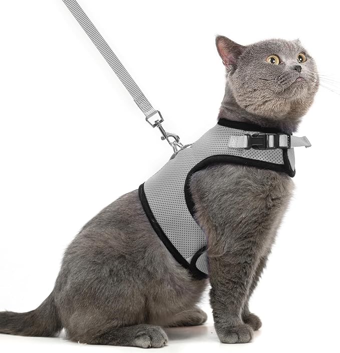 PUPTECK Soft Mesh Cat Vest Harness and Leash Set Puppy Padded Pet Harnesses by PUPTECK