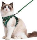 rabbitgoo Cat Harness and Leash by rabbitgoo
