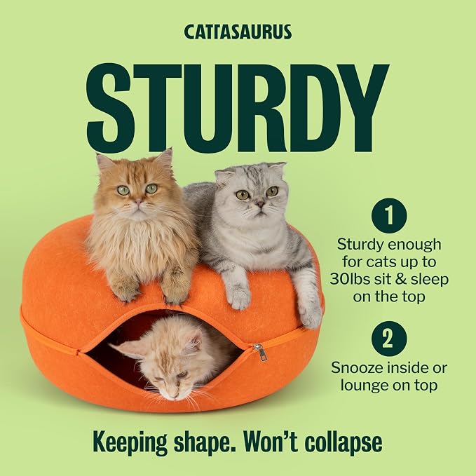 Cattasaurus Peekaboo Cat Cave Donut - Image 3