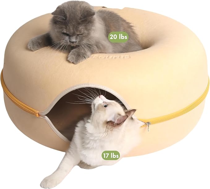 Cattasaurus Peekaboo Cat Cave Donut by Cattasaurus