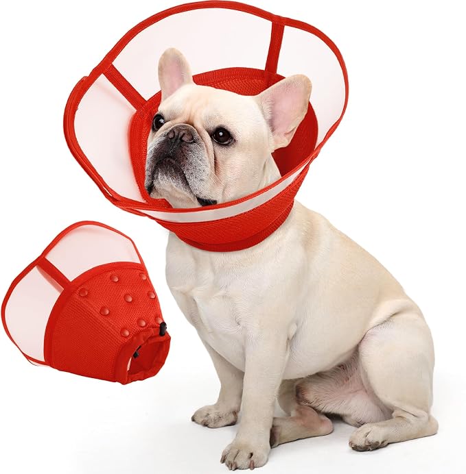 Allroaring Dog Cone, Soft Dog Cones by Allroaring