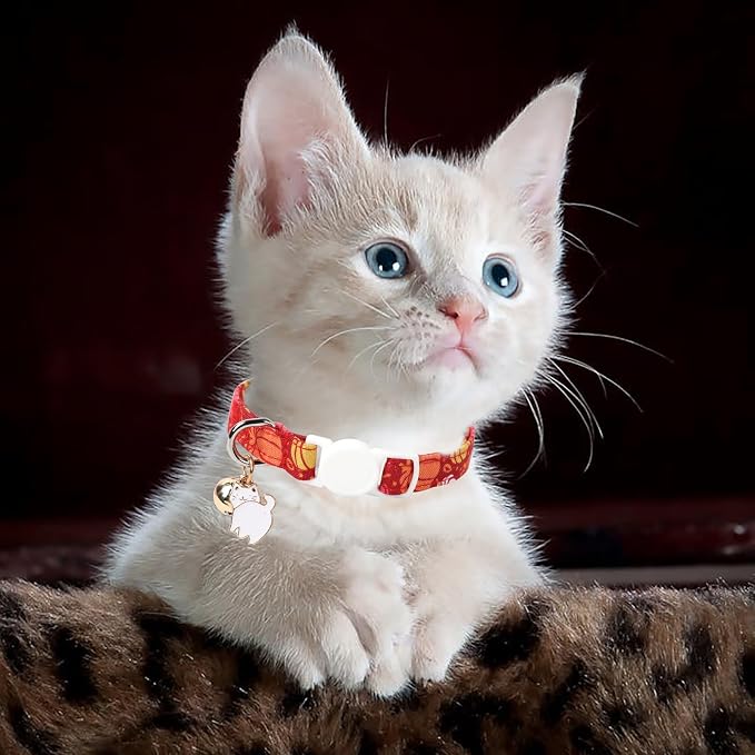 Unique style paws 2 Pack Kitten Collar Breakaway - Image 6