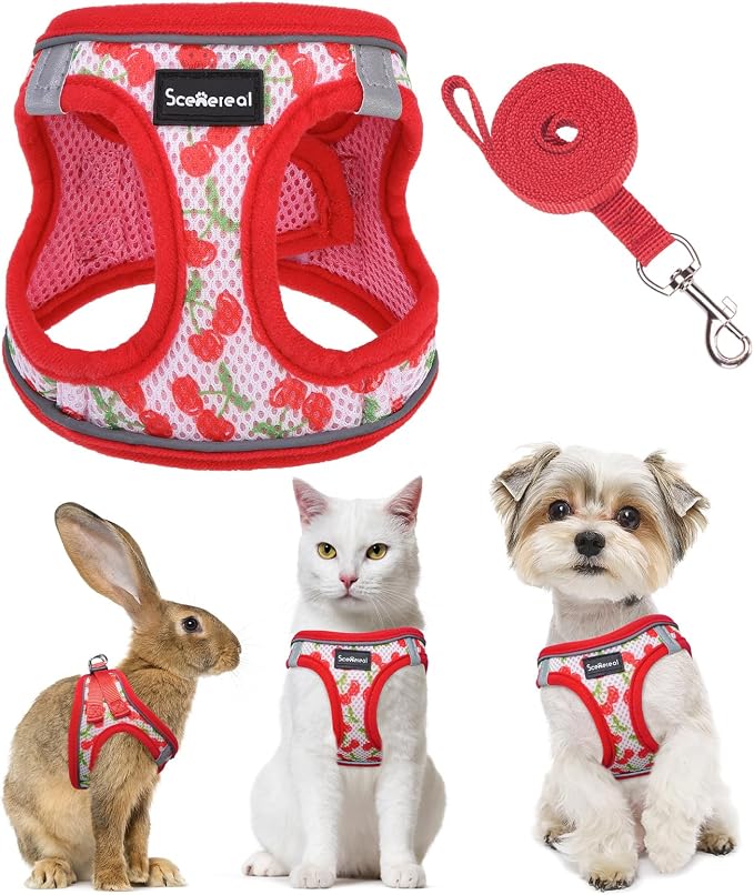 SCENEREAL Cat Harness & Leash Set Escape Proof by SCENEREAL