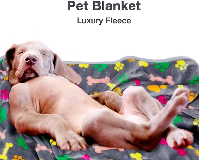 Allisandro Luxurious Dog Blanket, 350 GSM Super Fuzzy Microplush Fleece Pet - Image 7