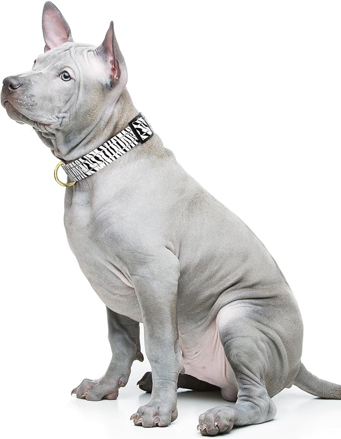 Reflective Dog Collar for Medium Dogs, Cute Boho Adjustable Heavy-Duty Nylon - Image 2