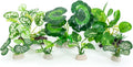 Betta Fish Tank Accessories 7 Pack Silk Aquarium Plants Decoration Artificial by Vtapliea