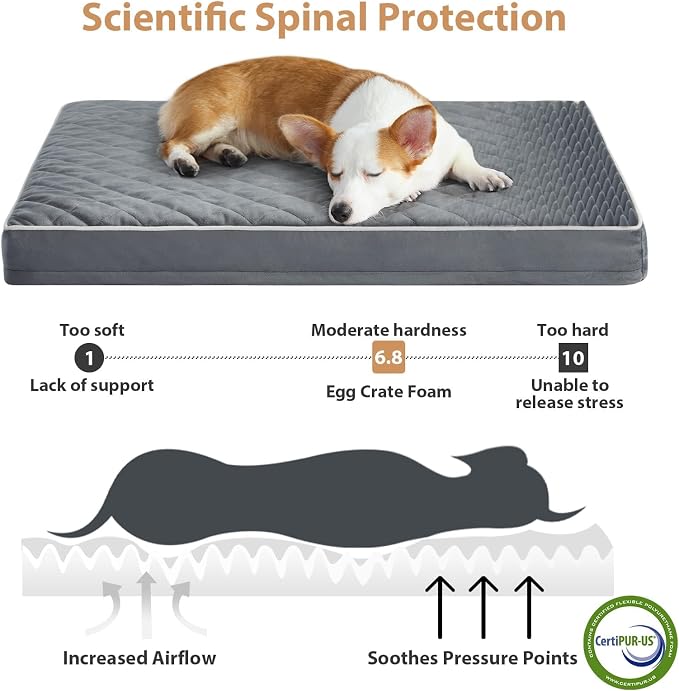 WNPETHOME Orthopedic XL Dog Bed - Image 3