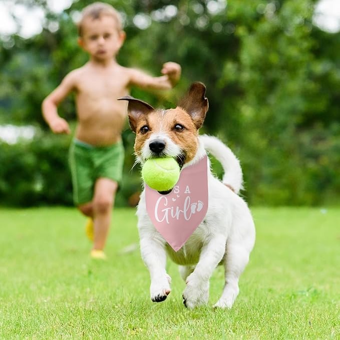 Its a Girl Pink Dog Bandana Baby Announcement Pregnancy Announcement Photo - Image 5