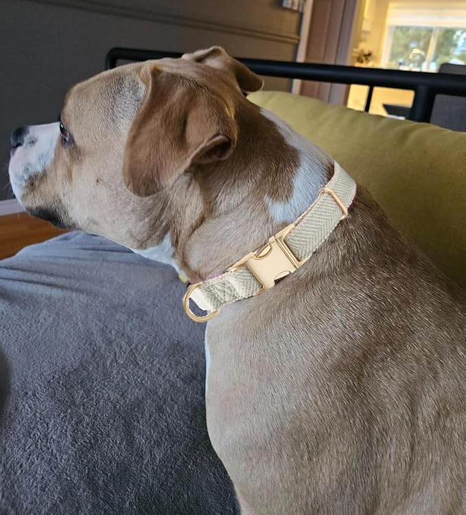 Soft Cotton Hemp Dog Collar - Image 5