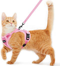 Cat Harness and Leash for Walking Escape Proof Soft Adjustable Cat Leash by Unknown