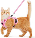 Cat Harness and Leash for Walking Escape Proof Soft Adjustable Cat Leash by Unknown