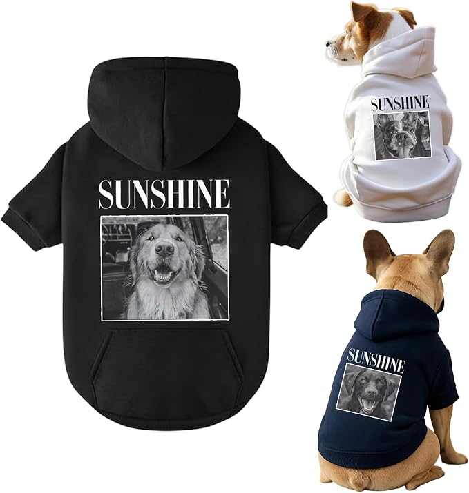 Personalized Name Dog Hoodie, Print Hoodies Pets Name, Custom Pet Memorial by Noni