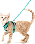 rabbitgoo Cat Harness and Leash by rabbitgoo