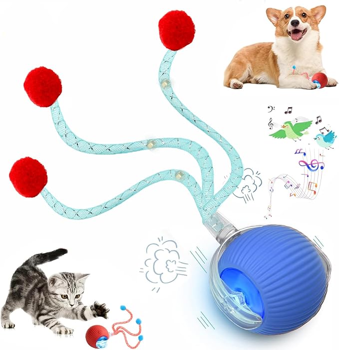 Speed 2.0 Tail Interactive Cat Toys by Unknown